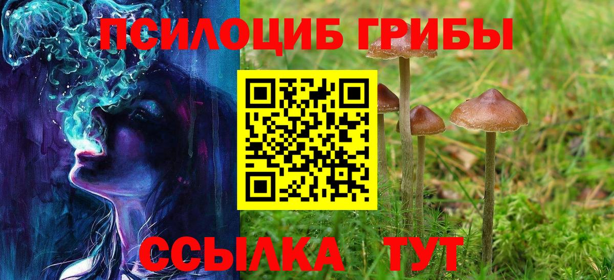 Псилоцибиновые грибы Cubensis Кольчугино