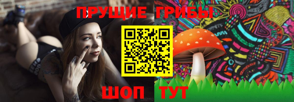 Псилоцибиновые грибы мицелий  Вход с VPN  Кольчугино 